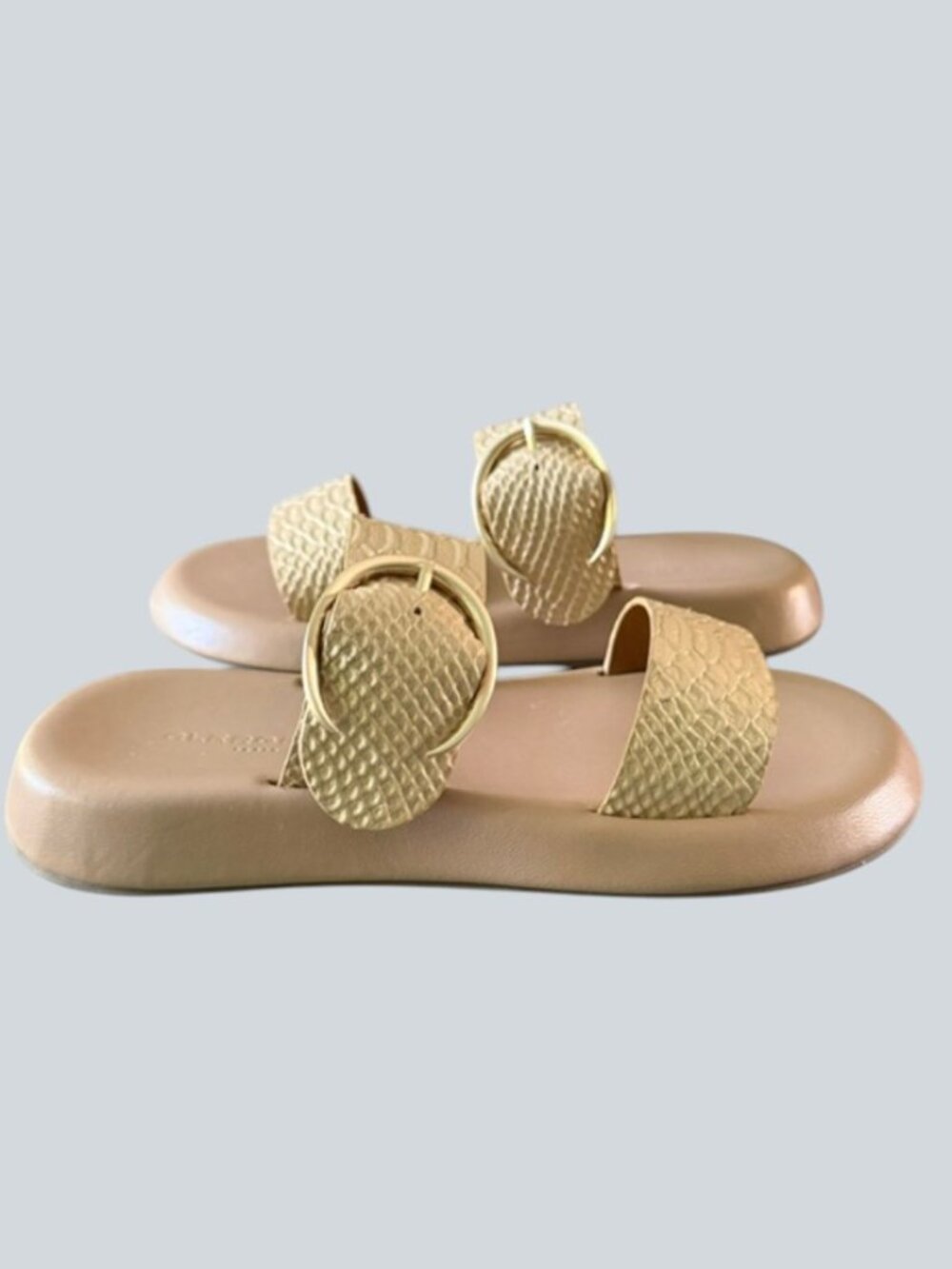Clergerie Paris Loud Nude Gold Python Effect Leather Slide Sandals Size 9.5 NIB